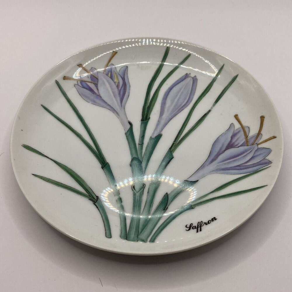 Vintage Shafford botanical 5 ceramic salad plates herbs seeds poppy ginger Japan - Picture 5 of 10